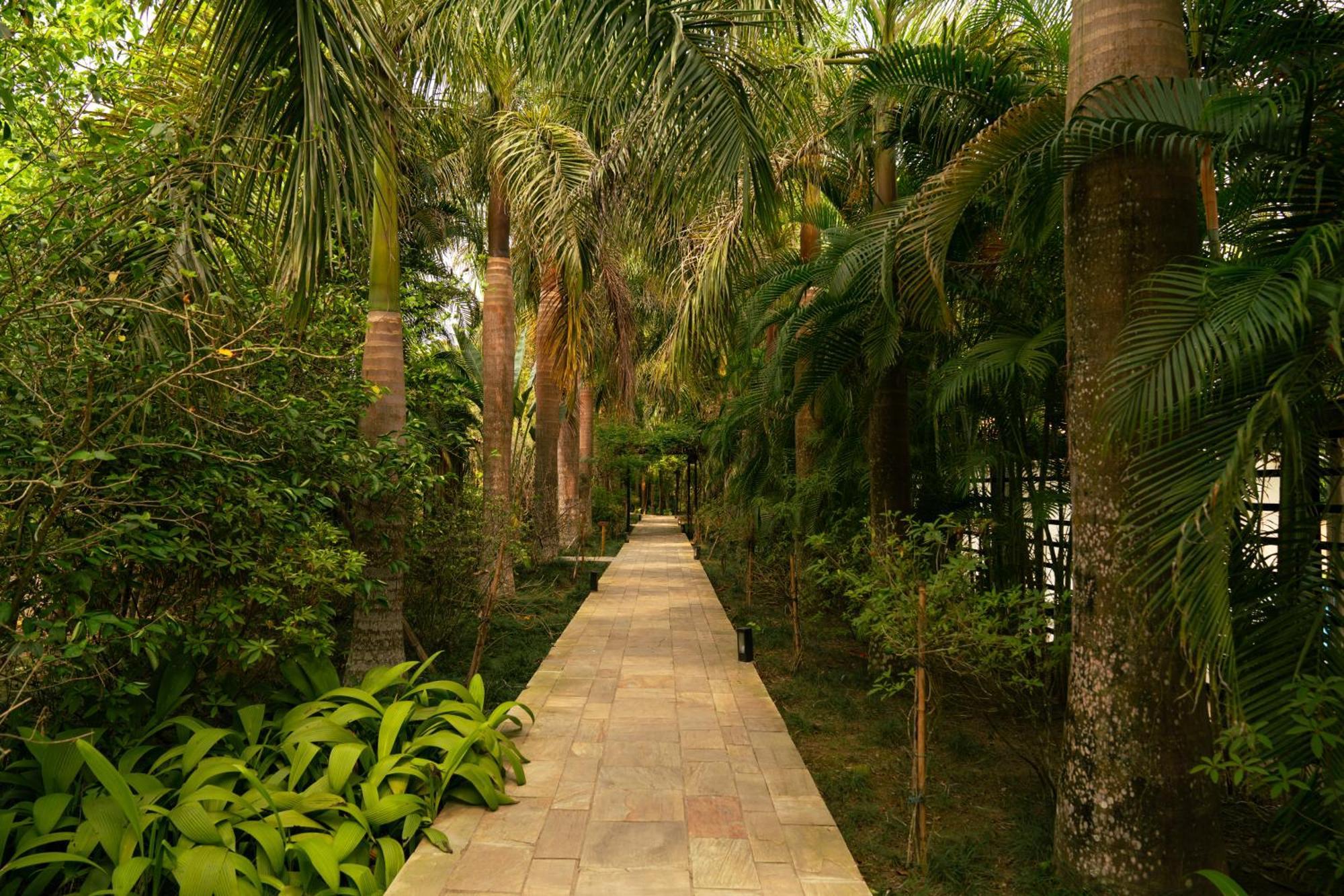 Kasara Chitwan Hotel Patlahara Exterior photo